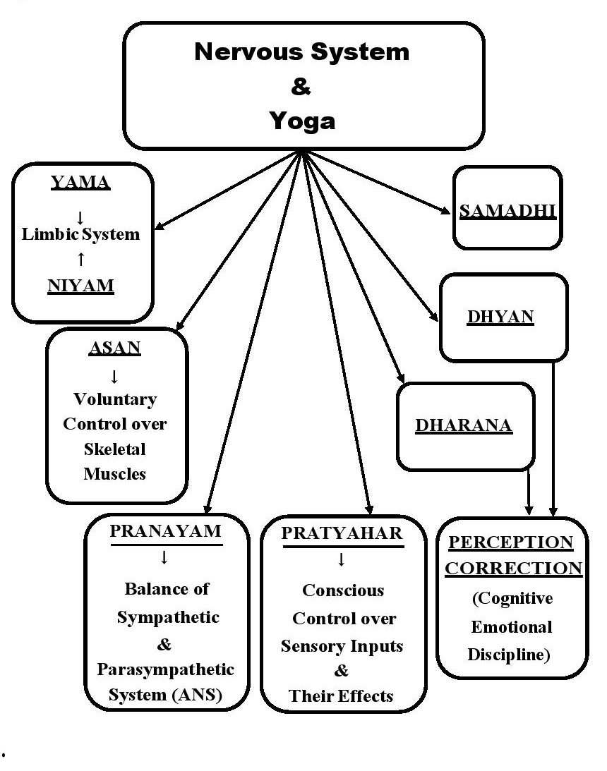 Yoga & Modern Medicine